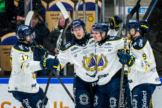 Södertäljes Egor Polin jublar