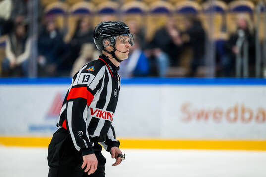 Domare Stefan Leijonklo