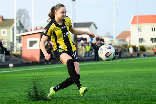 Hammarbys Vilde Hasund