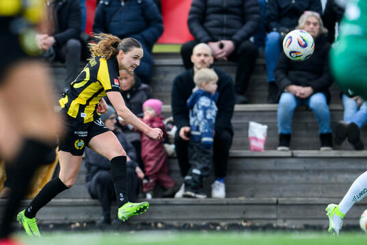 Hammarbys Vilde Hasund