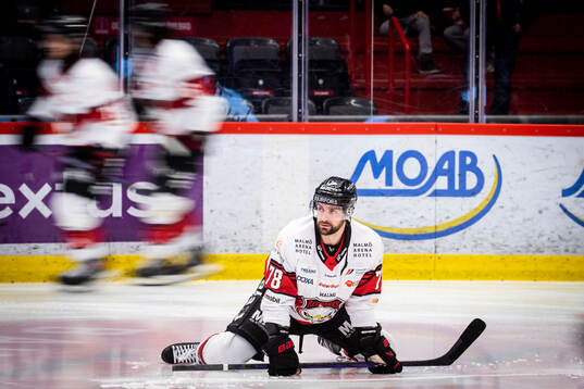 Malmö Redhawks Robin Hanzl