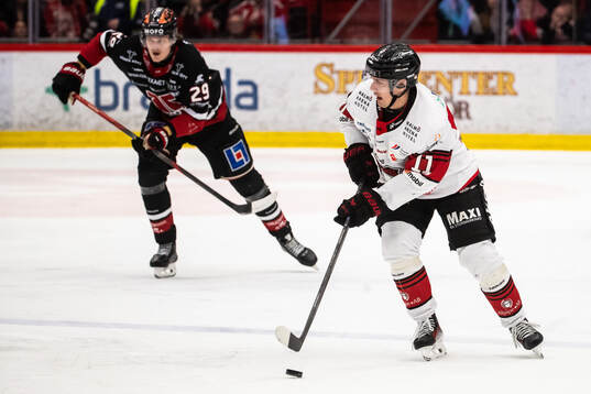 Malmö Redhawks Nikola Pasic