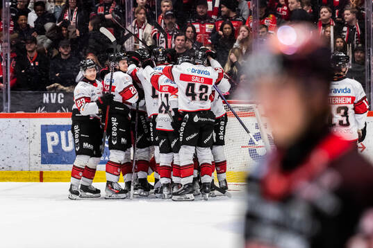 Malmö Redhawks jubel
