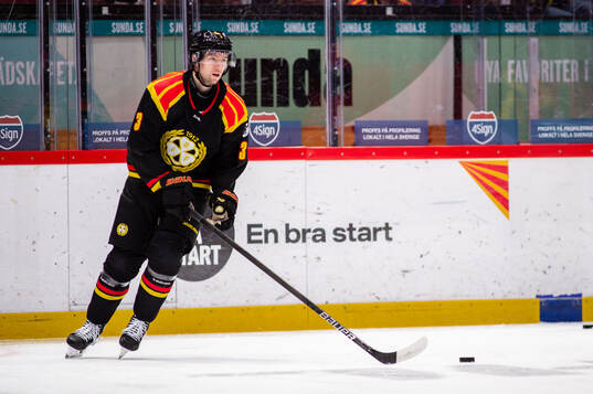 Brynäs Christian Djoos
