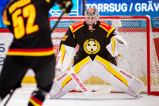 Brynäs målvakt Ludvig Persson