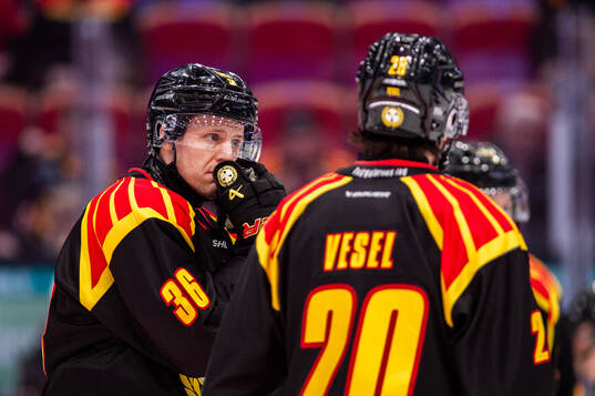 Brynäs Linus Ölund