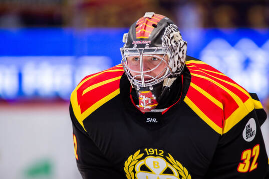 Brynäs målvakt Ludvig Persson
