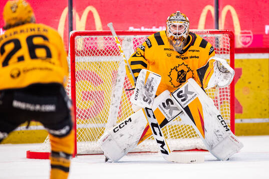 Skellefteås målvakt Linus Söderström