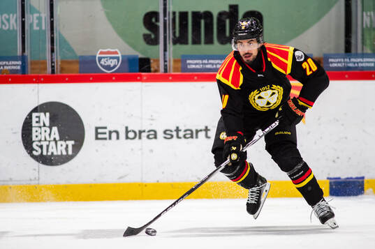 Brynäs Tyler Vesel