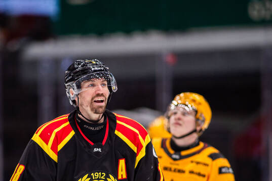 Brynäs Anton Rödin