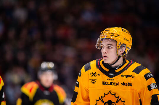 Skellefteås Axel Sandin Pellikka