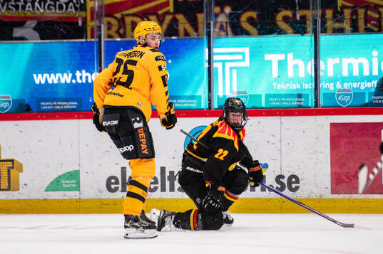 Skellefteås Pontus Johansson och Brynäs Leo Sundqvist