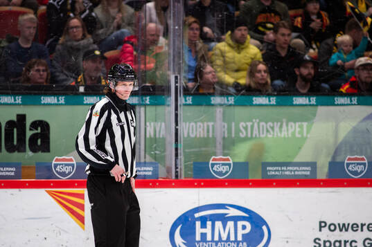 Linjedomare Fredrik Altberg