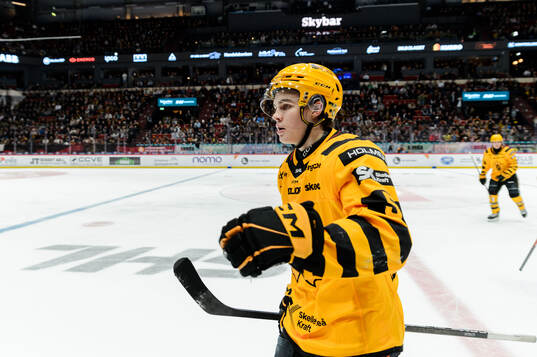 Skellefteås Axel Sandin Pellikka jublar