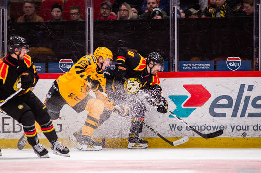Skellefteås Pontus Johansson och Brynäs Anton Rödin