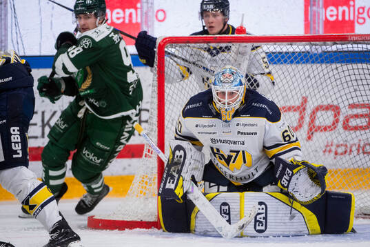 HV71s målvakt Hugo Alnefelt