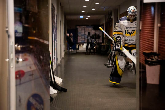 HV71s målvakt Hugo Alnefelt