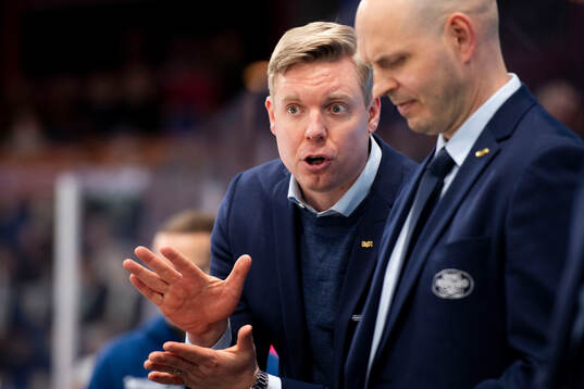 HV71s tränare Anton Blomqvist