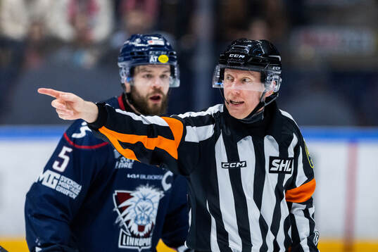 Domare Mikael Holm