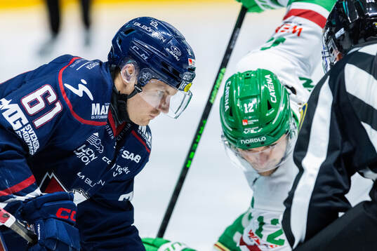 Linköpings Markus Ljungh