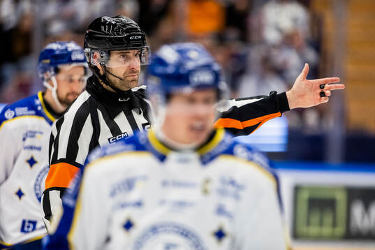 Domare Mikael Sjöqvist