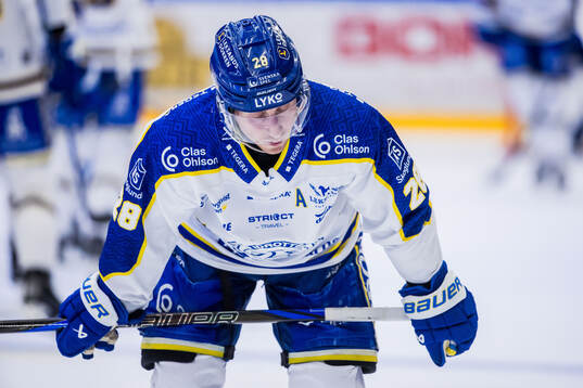 Leksands Justin Glenn Kloos