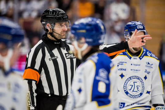 Domare Mikael Sjöqvist