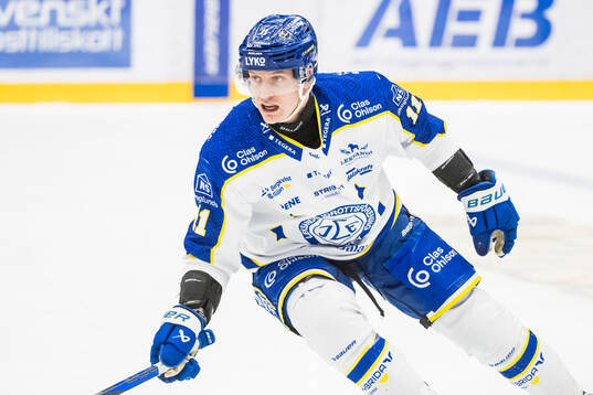 Leksands målvakt Marcus Gidlöf