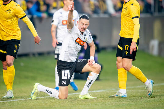 Häckens Amor Layouni