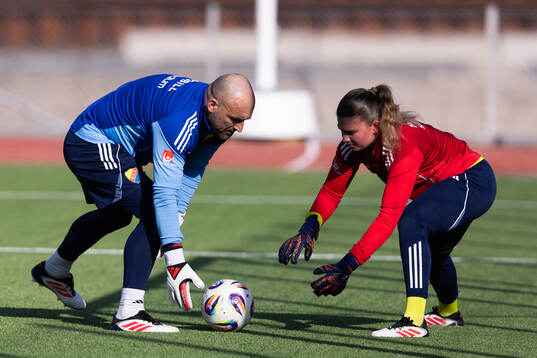 Djurgårdens målvaktstränare Aleksandar Pishovski och