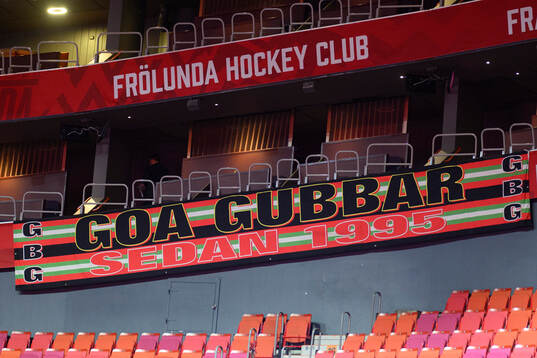 Vy från Scandinavium