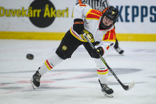 Brynäs Oona Koukkula