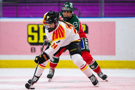 Brynäs Sara Cajanova