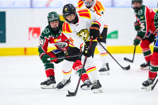 Brynäs Fanni Garát Gasparics