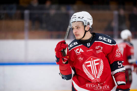 Forshagas Alfred Bergman