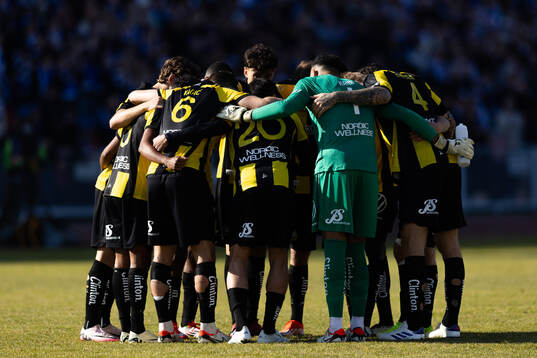 Hammarbys spelare samlade