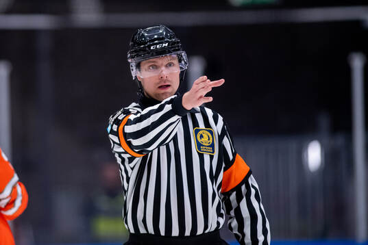 Domare Robin Forslund