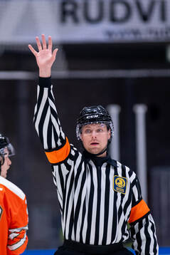 Domare Robin Forslund