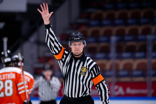 Domare Robin Forslund