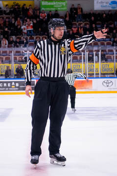 Domare Robin Forslund