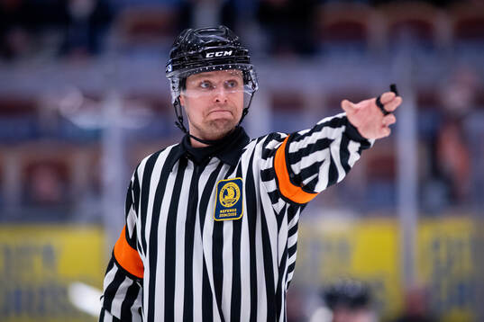 Domare Robin Forslund
