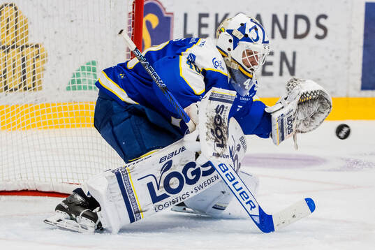 Leksands målvakt Mantas Armalis