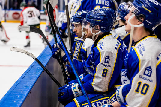 Leksands Matt Caito  deppar