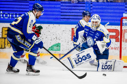 Leksands målvakt Mantas Armalis