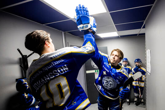 Leksands Arvid Eljas