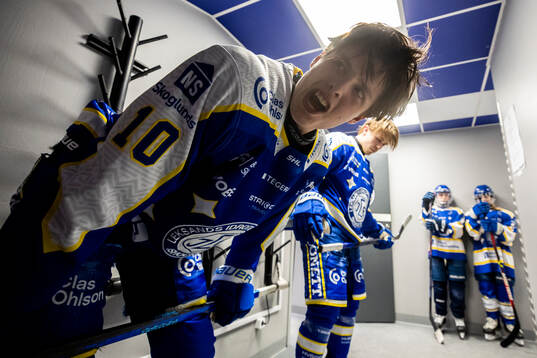 Leksands Anton Johansson