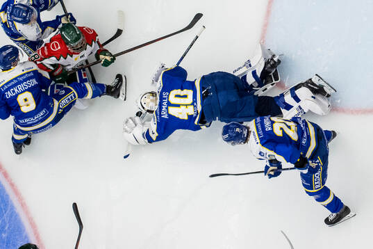 Leksands målvakt Mantas Armalis