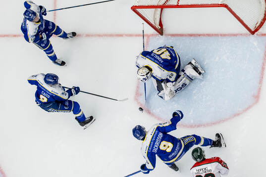 Leksands målvakt Mantas Armalis