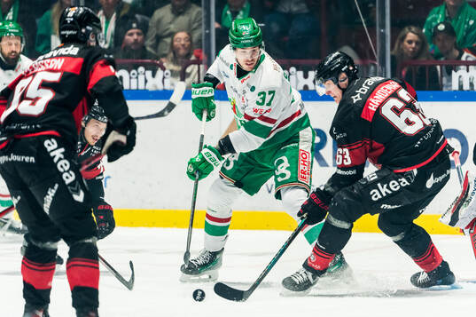 Rögles Albin Sundsvik och Malmö Redhawks Fredrik