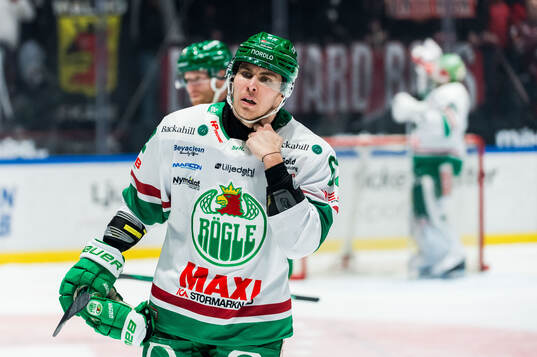 Rögles Lubos Horky deppar